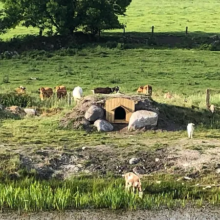 The * Hacketstown